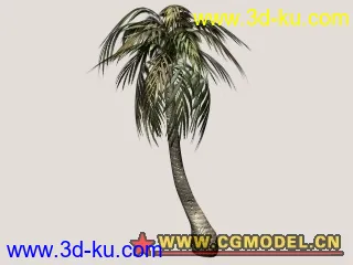 3D打印模型熱帶植物(10/29更新)的图片