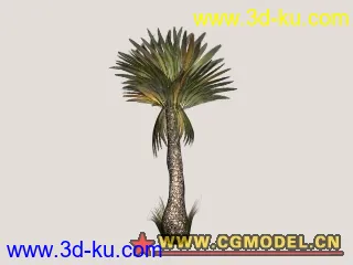 3D打印模型熱帶植物(10/29更新)的图片