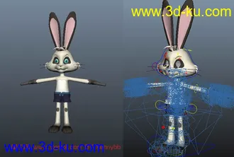 带绑定40个多种模型绑定的图片