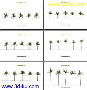 3D打印模型124类620种形态各异的棕榈树模的图片