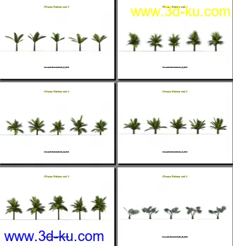 3D打印模型124类620种形态各异的棕榈树模的图片