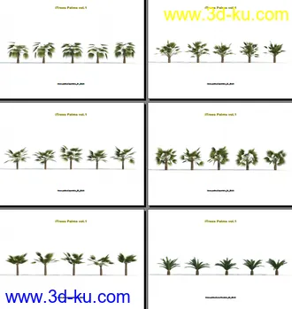 3D打印模型124类620种形态各异的棕榈树模的图片