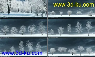 3D打印模型75颗形态各异的冬季树木的图片