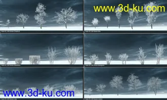 3D打印模型75颗形态各异的冬季树木的图片