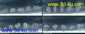 3D打印模型75颗形态各异的冬季树木的图片