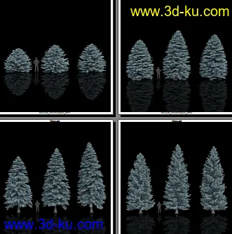 132颗形态各异的枞树模型的图片6