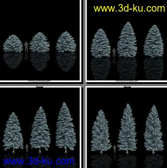 132颗形态各异的枞树模型的图片
