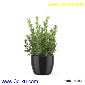 3D打印模型厨房餐具锅碗瓢盆花盆的图片