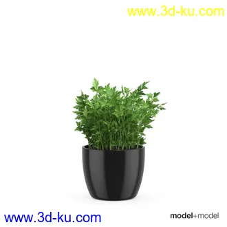 3D打印模型厨房餐具锅碗瓢盆花盆的图片