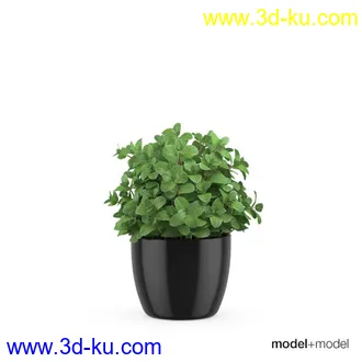 3D打印模型厨房餐具锅碗瓢盆花盆的图片