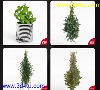 写实水果蔬菜模型的图片