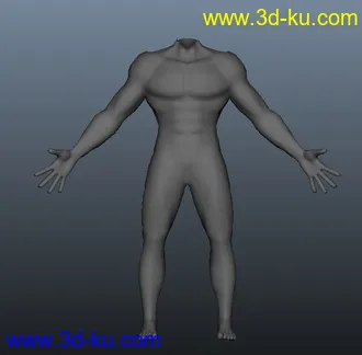 3D打印模型人体的图片