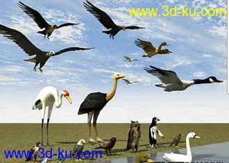 3D打印模型猫头鹰 鸵鸟  老鹰 企鹅等..............的图片