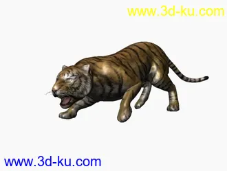 3D打印模型老虎一只的图片