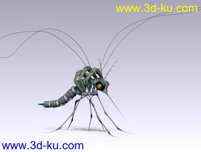 蚊子模型的图片2