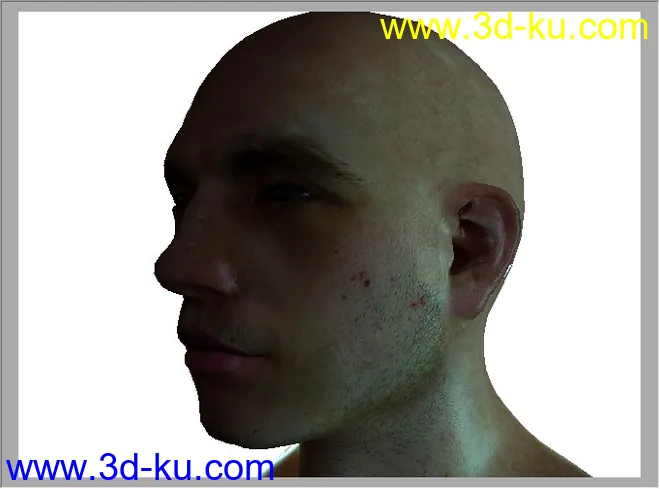 皮肤3S测试文件模型的图片2