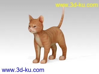 3D打印模型猫的图片