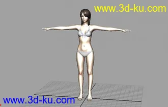 3D打印模型泳装美女的图片