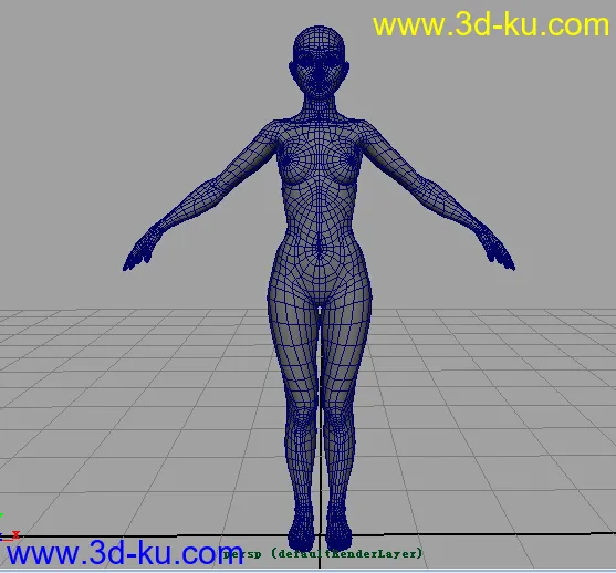 标准女人体(学习布线）模型的图片1