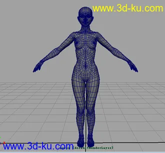3D打印模型标准女人体(学习布线）的图片