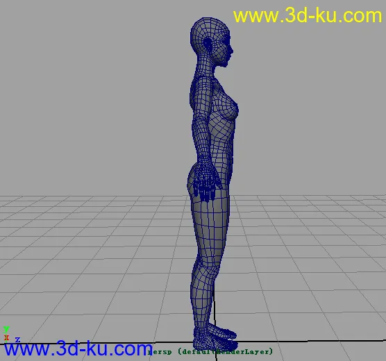 标准女人体(学习布线）模型的图片2
