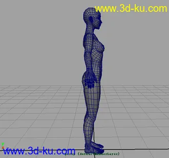 3D打印模型标准女人体(学习布线）的图片