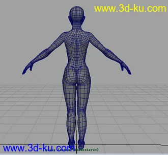 3D打印模型标准女人体(学习布线）的图片
