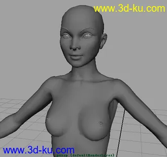 3D打印模型标准女人体(学习布线）的图片