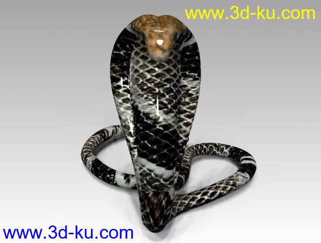 眼镜王蛇模型的图片1
