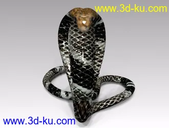 3D打印模型眼镜王蛇的图片