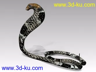 3D打印模型眼镜王蛇的图片