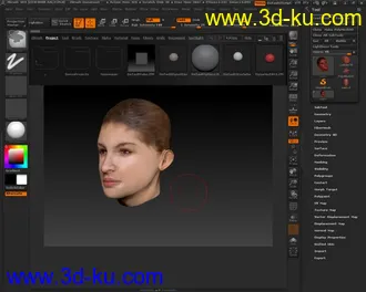 女人头部模型的图片