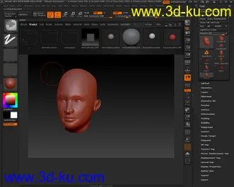 女人头部模型的图片