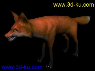 max写实狐狸模型 有贴图~~的图片