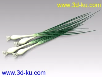 3D打印模型大葱的图片