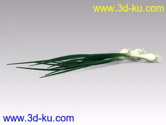 3D打印模型大葱的图片