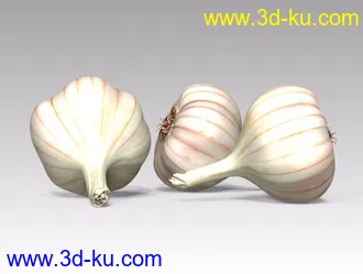 3D打印模型大蒜的图片