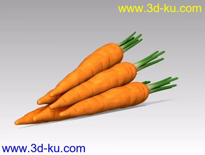 胡萝卜模型的图片2
