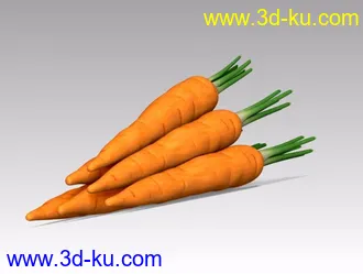 3D打印模型胡萝卜的图片