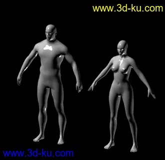 两个模型 一男一女 基础模型可雕刻。的图片