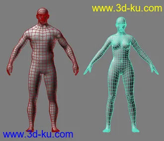两个模型 一男一女 基础模型可雕刻。的图片