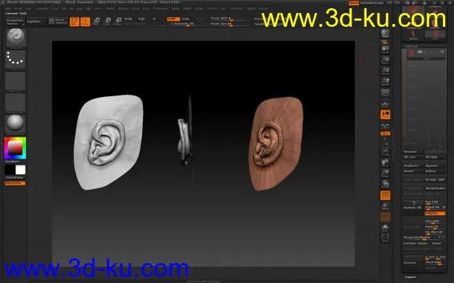 ZBrush耳朵雕刻模型的图片2