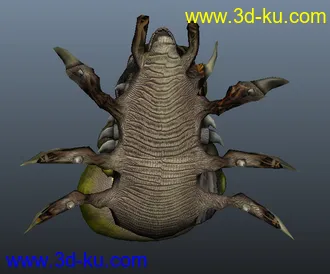 3D打印模型邪恶蜘蛛的图片