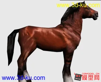 3D打印模型低模 马的图片