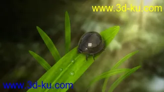 3D打印模型第一次做。。。的图片