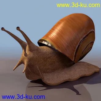 3D打印模型蜗牛的图片