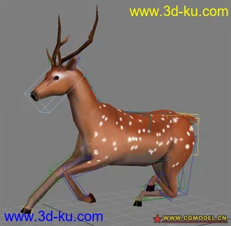 3D打印模型deer 連骨架 low model的图片