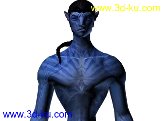 阿凡达——化身——游戏模型的图片