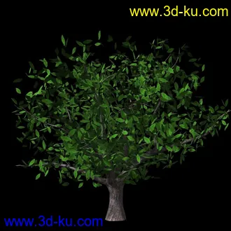 3D打印模型maya 树的图片