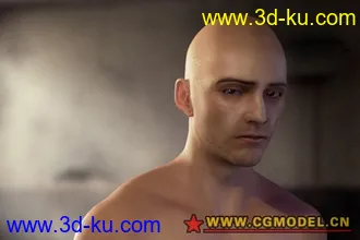 3D打印模型精细的人体（产品级别）的图片